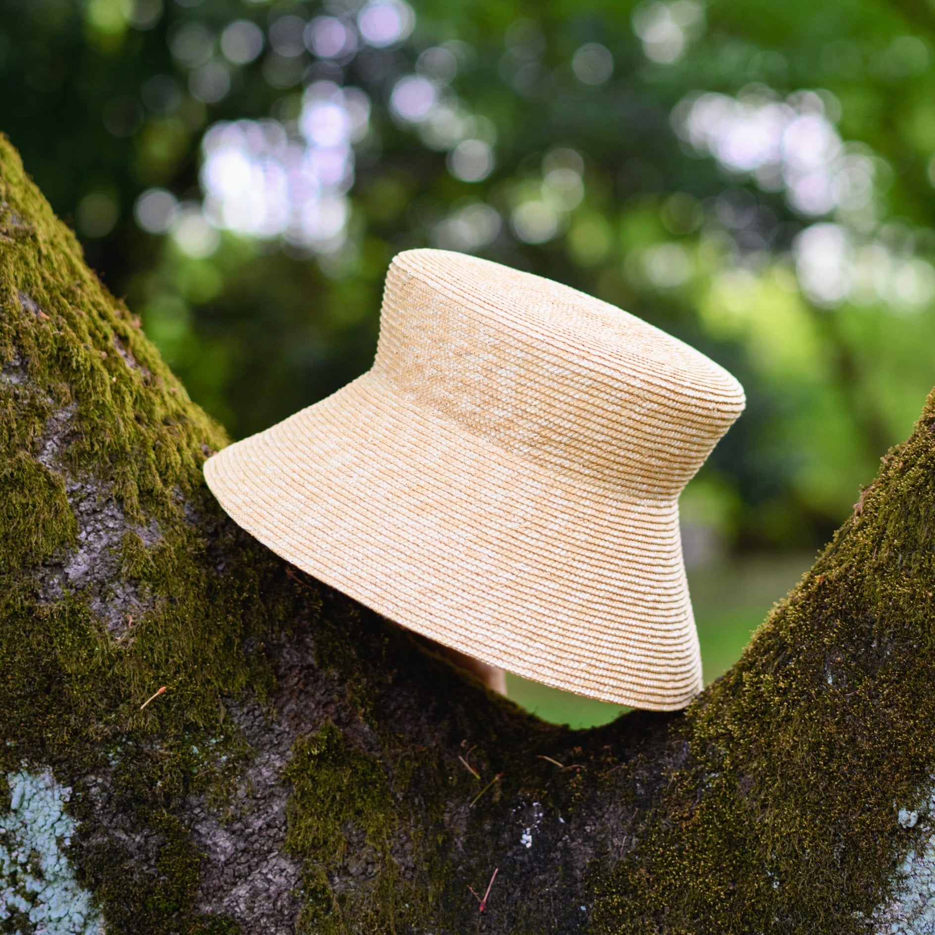 Curves Straw Hat