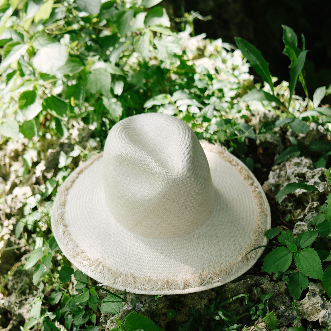 Fine Raffia Fedra