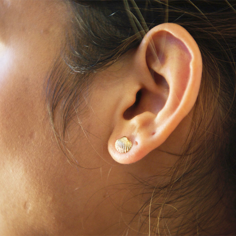 Shell Earring