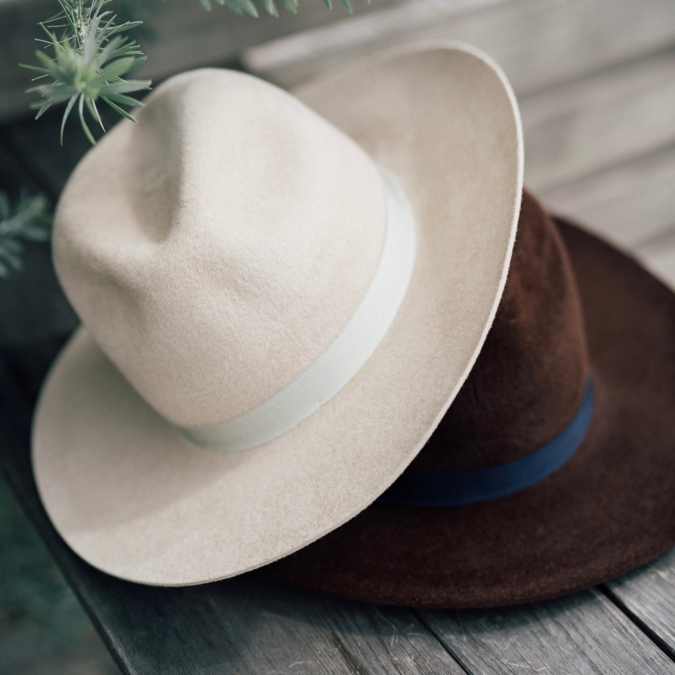 Velour Fedra Hat