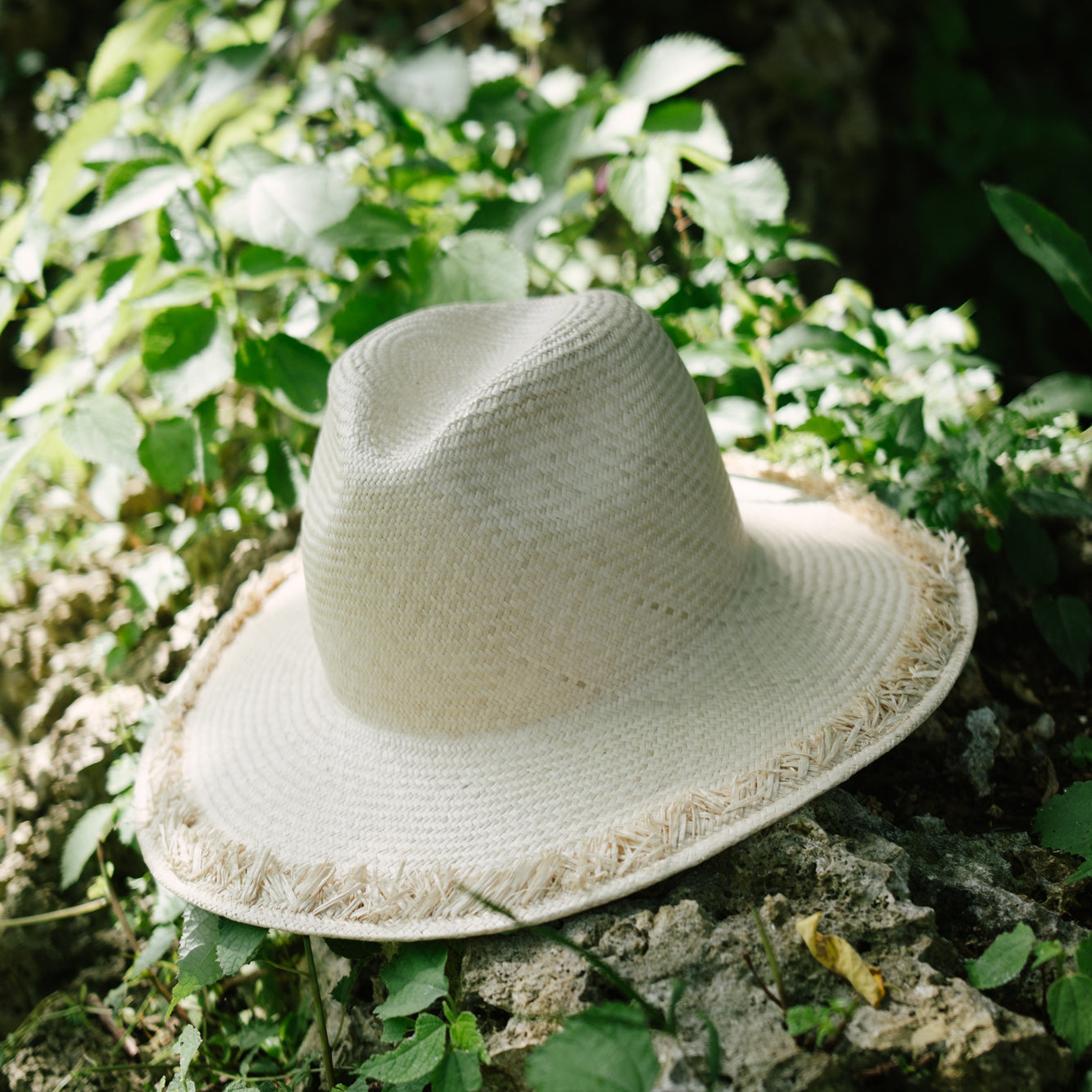 Fine Raffia Fedra