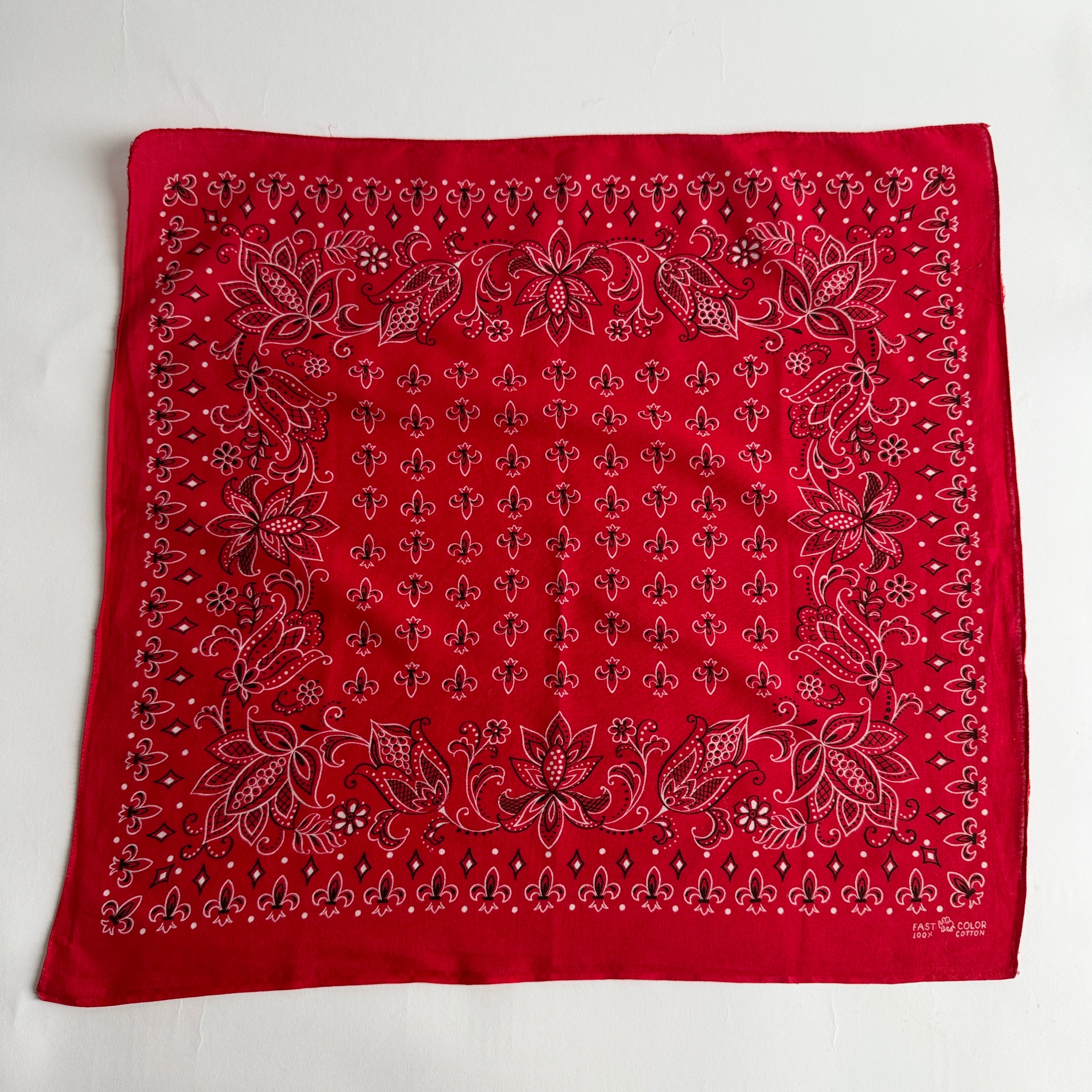 Vintage Bandana _3