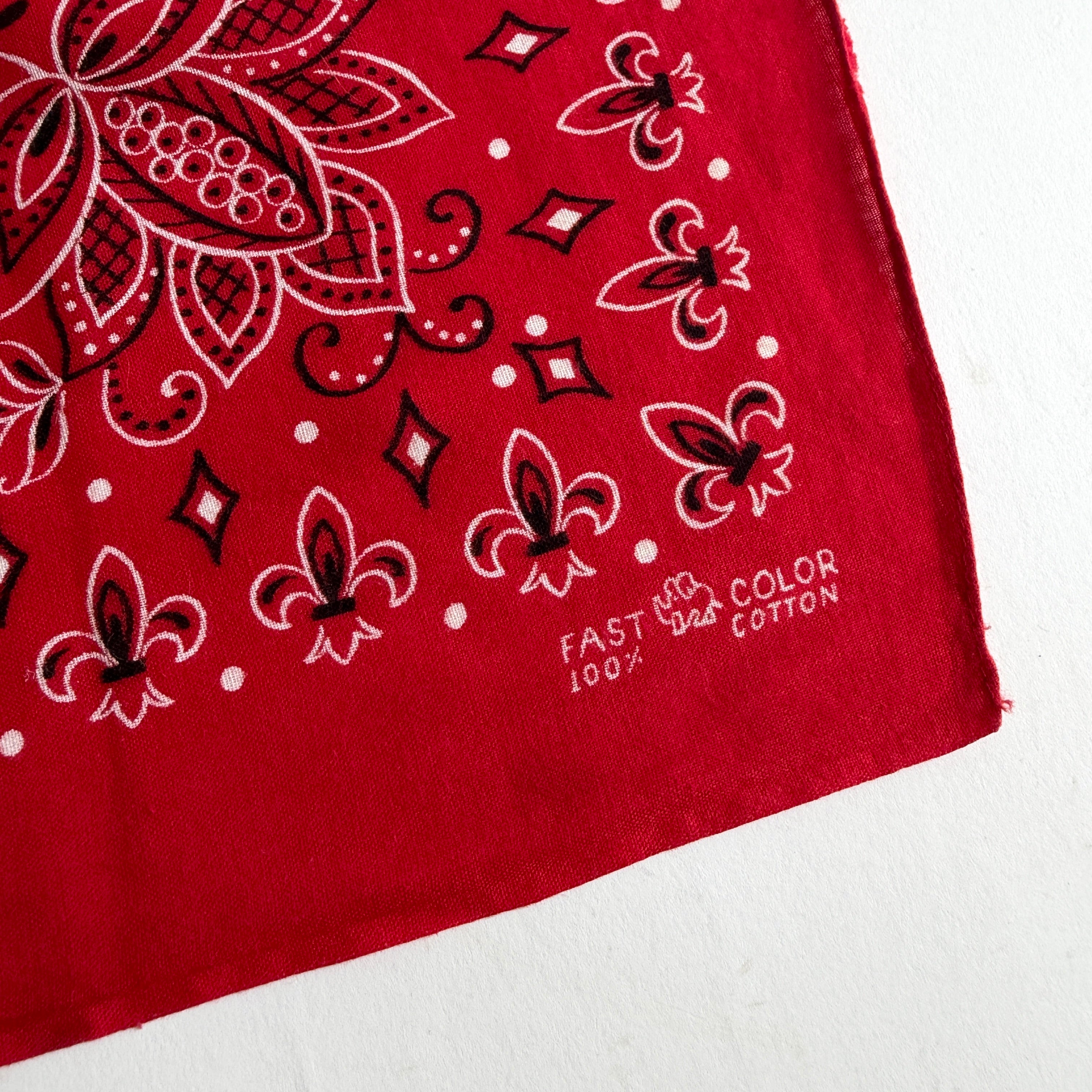 Vintage Bandana _3