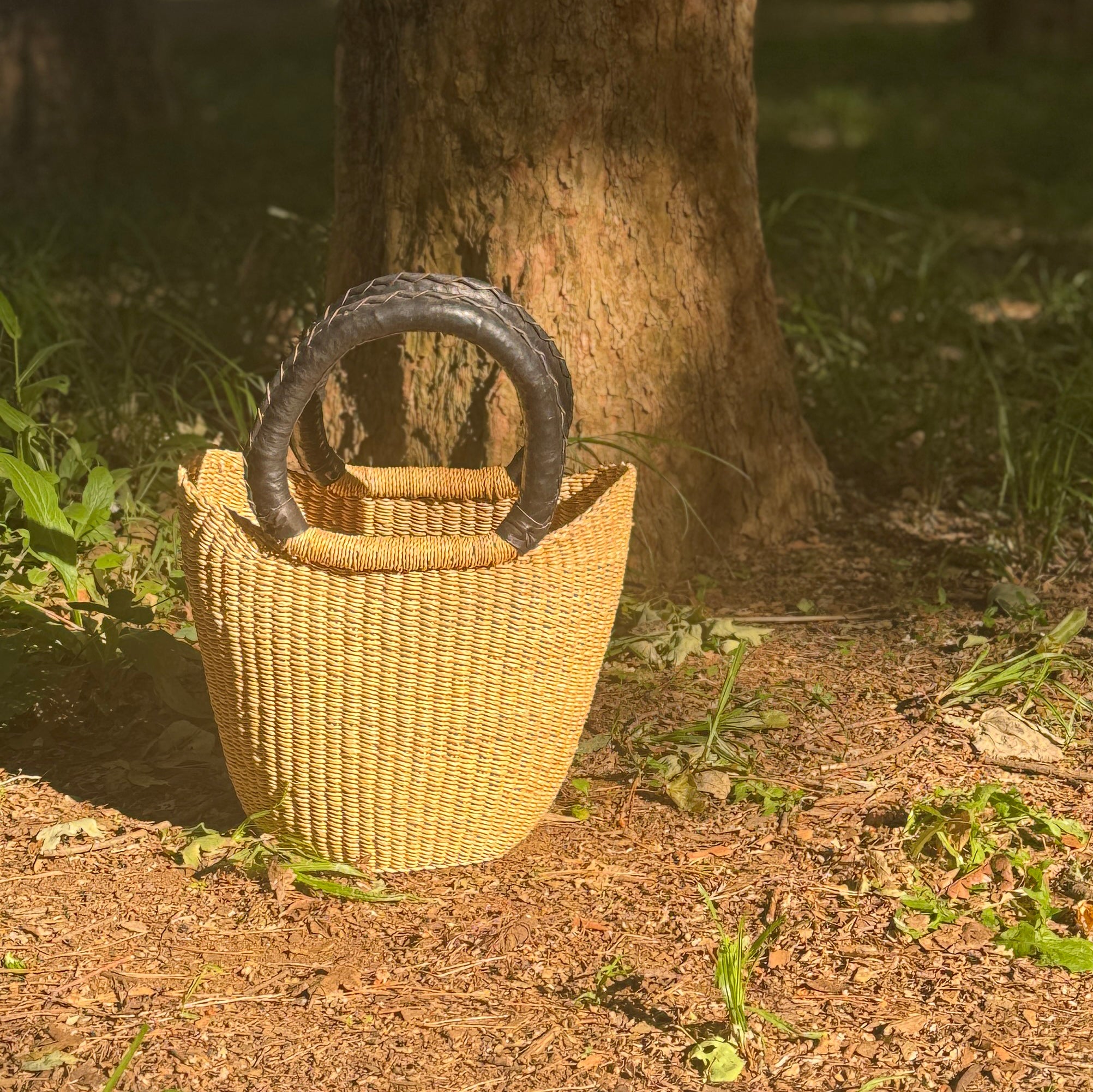 Bolga Basket